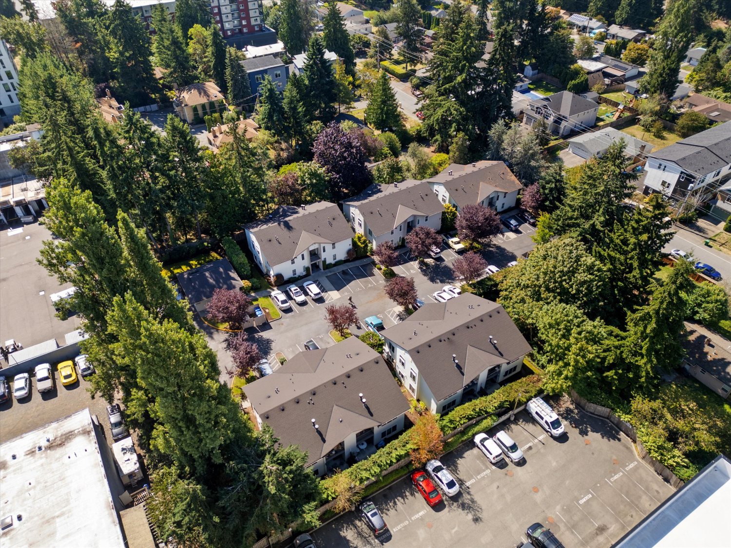 Stone Ridge Portfolio